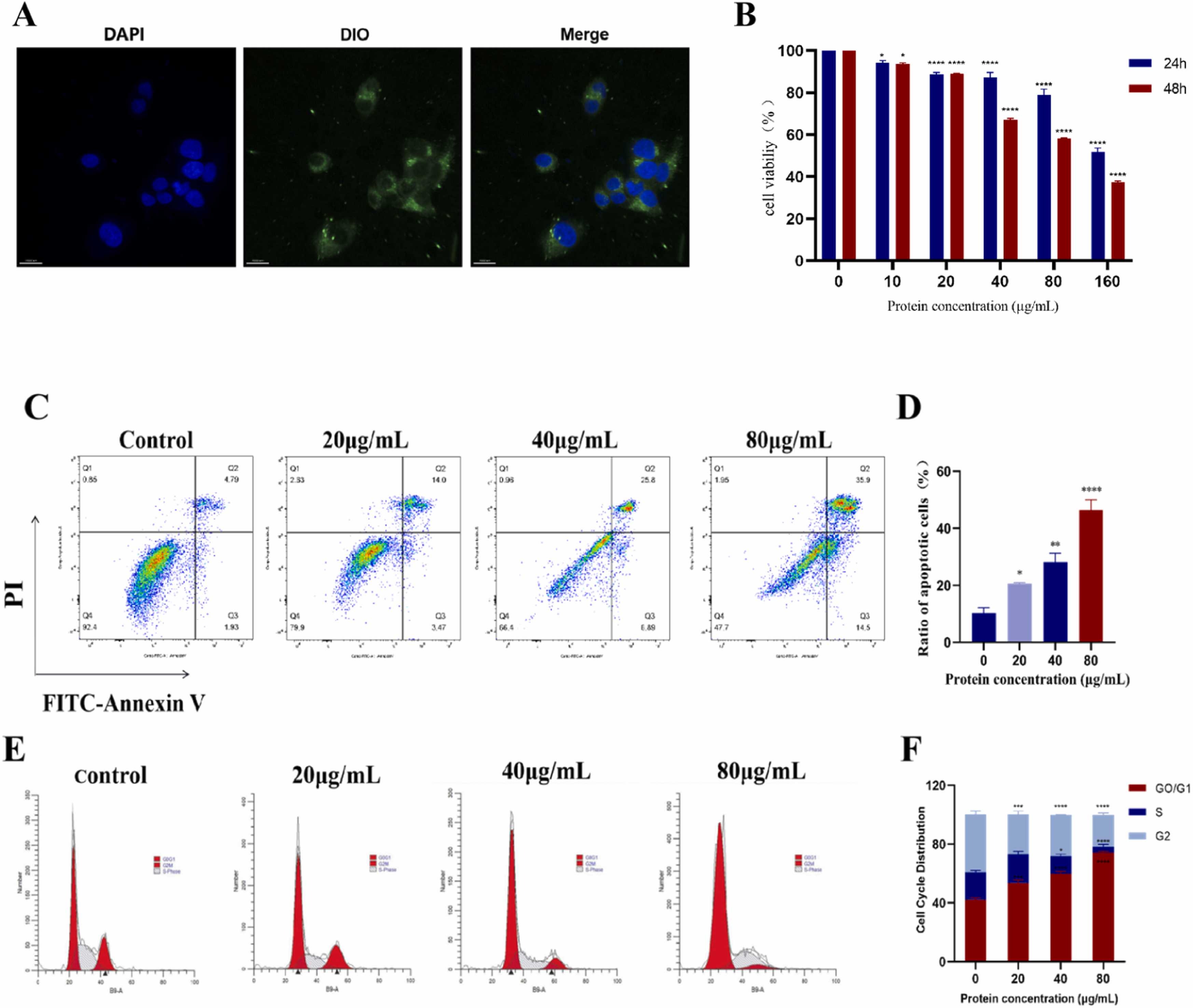 Centella asiatica-derived nanovesicles internalized by HepG2 cells reduce proliferation, induce apoptosis, and alter cell cycle distribution in a dose-dependent manner.